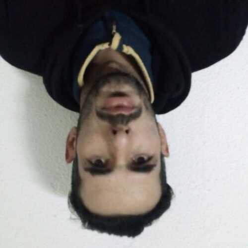 vergaraed183