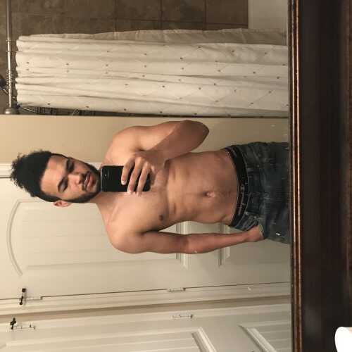 Anothericon
