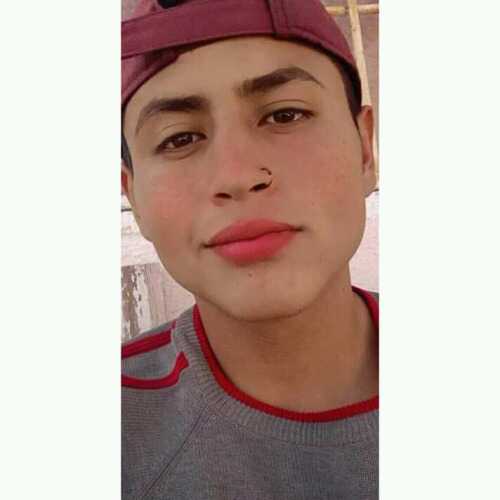 alecarde193