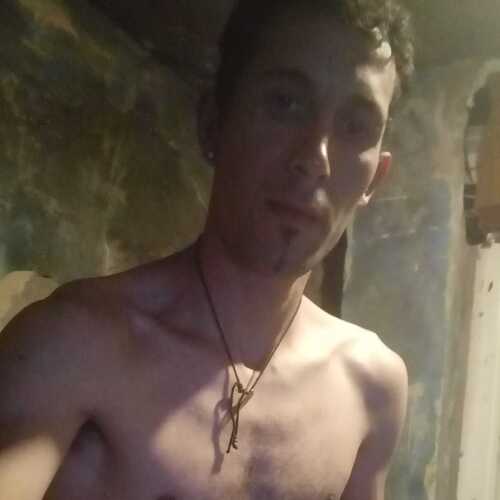 bustosgust346