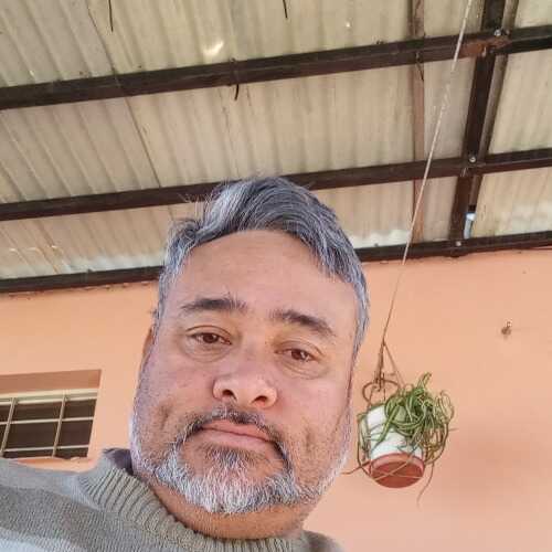 Don chino amor