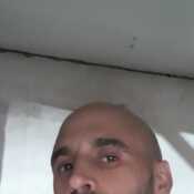 darigbou304