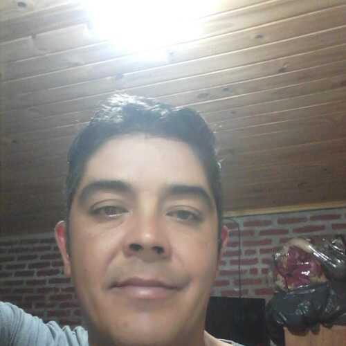 Aleja679