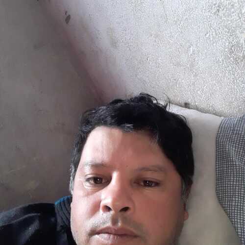 maxila22