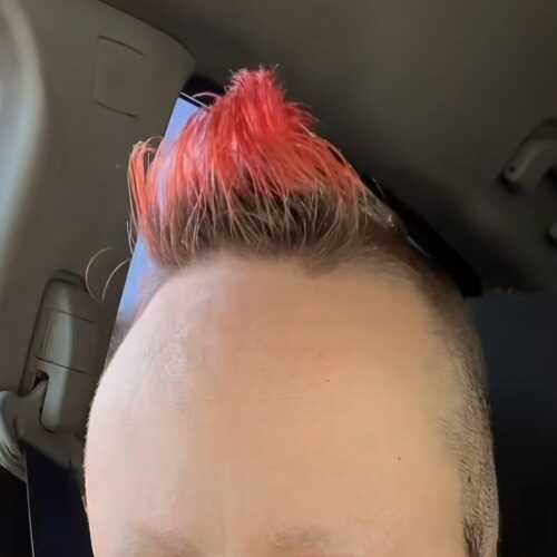 David
