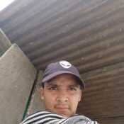 sofoniascri484
