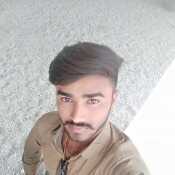 hiteshbh311