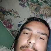 nicol421Canelone