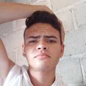 wilmerrodrigu791