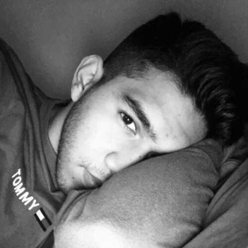 alfre517