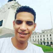 jarwing379