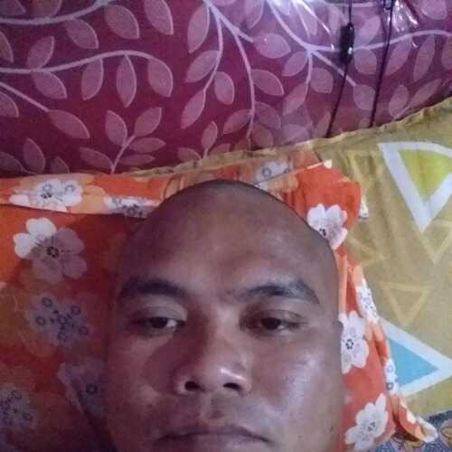 songsarkat932