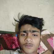 avish646