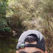 Vinay