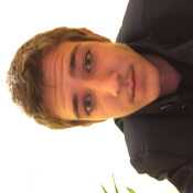harrysutho