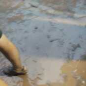 Jusep