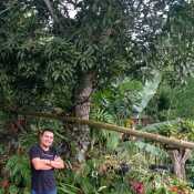 darwinking