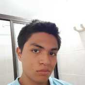 Willsex