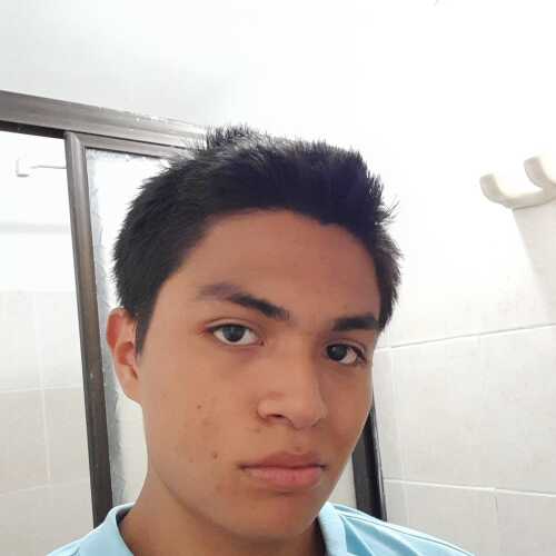 Willsex