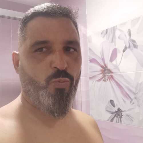 Morbi77