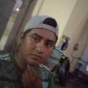 lunal633