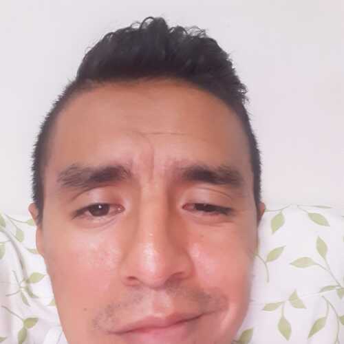 gua481