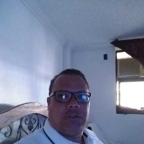 marq446