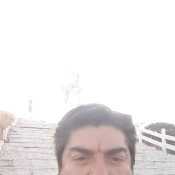 dariomol32