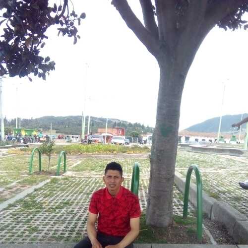 wil33ElBordo