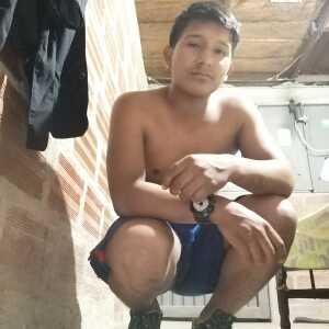 braya310