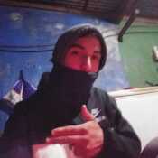 gracielaferre446