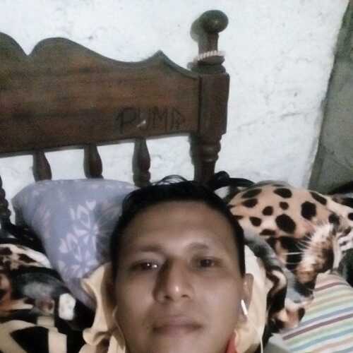 Pauldavid2019