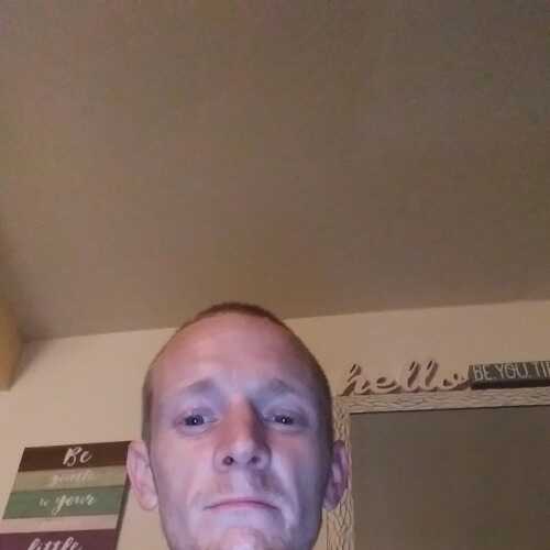 zeeppd663