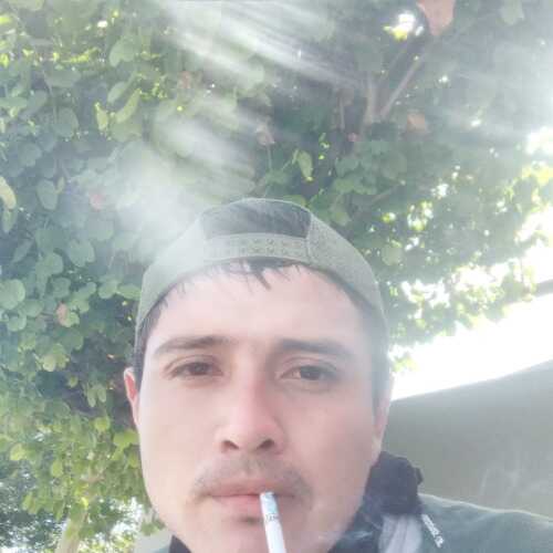 arvv27