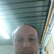 Davybo