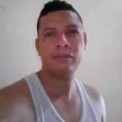 ribla842