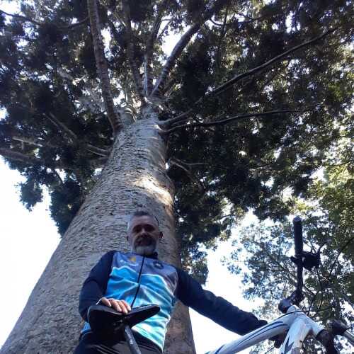Facha50