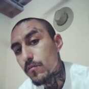 213playboy