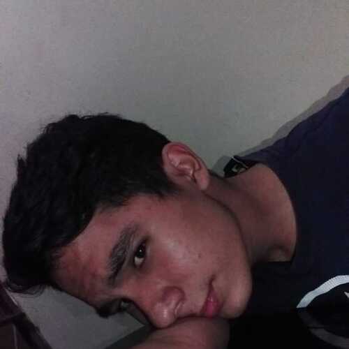 luisavilesmat386