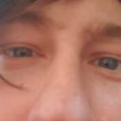 IntelligentLovereicjed