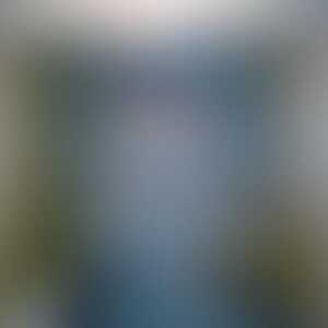 gc0ff0ef99fea00