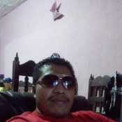 kosly