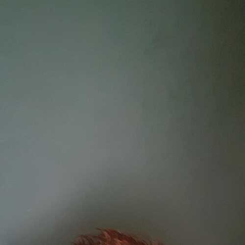 michaelbald257
