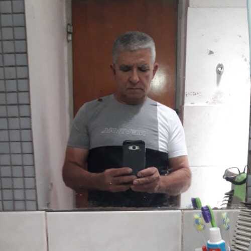 galo2378