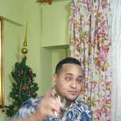 Amby2931stylo