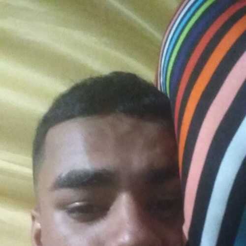 cris29novi