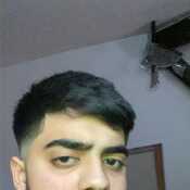 danmod