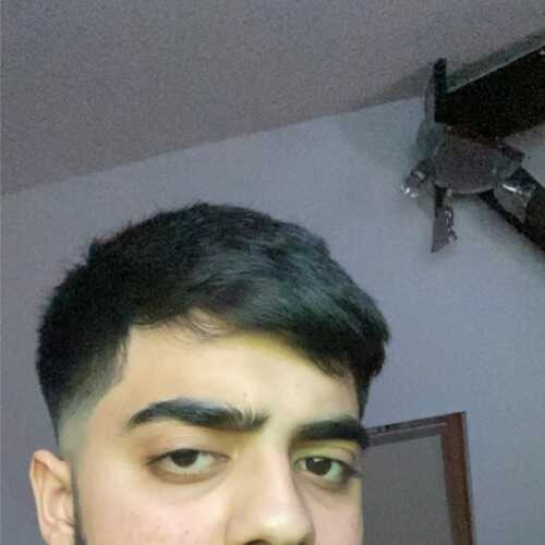 danmod