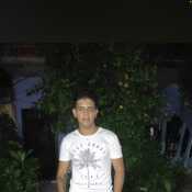 giberpin954