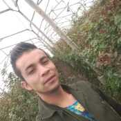 fcbfcfcgdjddecja
